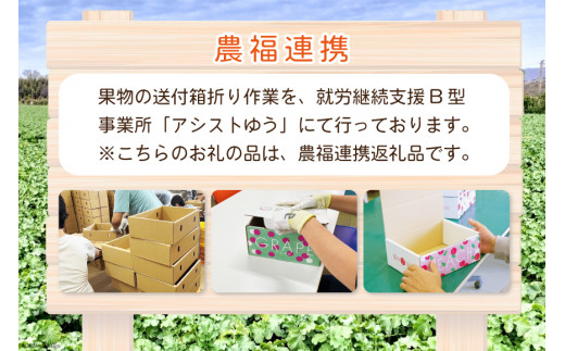 【2026年発送】訳あり 桃 もも 白鳳 or 白桃 3号 約2.2kg (6～10玉) モモ 果物 フルーツ 山梨 期間限定 季節限定 冷蔵 農福連携 [斎庵 山梨県 韮崎市 20745277]