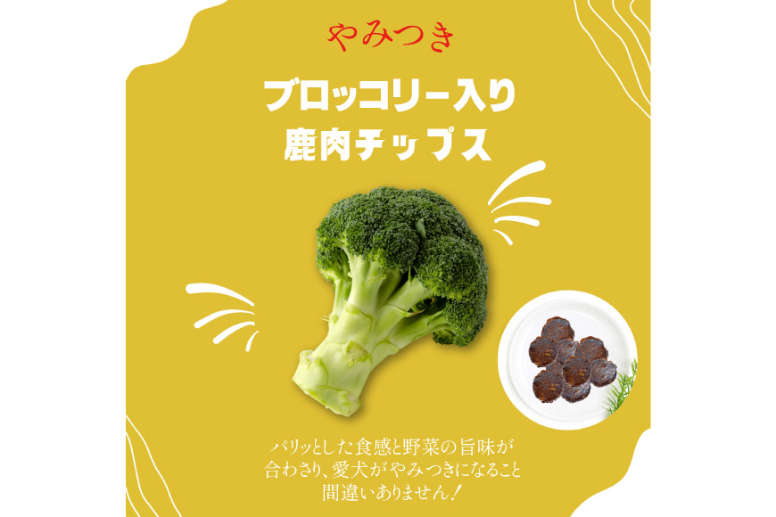 ドッグフード 無添加 FUJIDOG ブロッコリー入り鹿肉チップス 100g [FUJIDOG 山梨県 韮崎市 20745302] 高タンパク 低脂肪 10%以下 低脂質 犬のおやつ 犬の餌 国産 餌 エサ