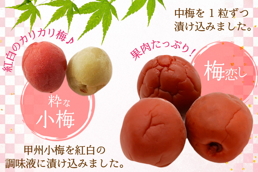梅干し 粋な小梅 15個 & 梅恋し 10個 [山梨農産食品 山梨県 韮崎市 20743521] 梅干 うめぼし 個包装 食べ比べ 梅 漬物 つけもの おやつ  おつまみ 熱中症予防