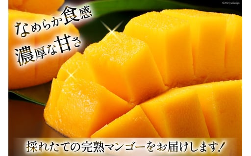 【期間限定発送】 完熟 マンゴー 「天空の輝き」 2L 2個入 [採園 山梨県 韮崎市 20743342] マンゴー アップルマンゴー フルーツ 果物 完熟 期間限定 季節限定 冷蔵