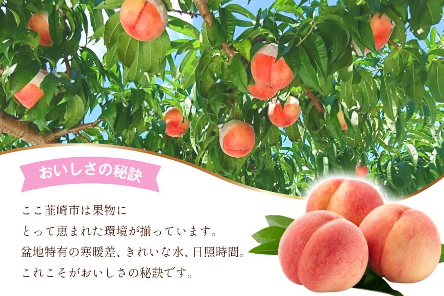 【2026年発送】訳あり 桃 もも 白鳳 or 白桃 3号 約2.2kg (6～10玉) モモ 果物 フルーツ 山梨 期間限定 季節限定 冷蔵 農福連携 [斎庵 山梨県 韮崎市 20745277]