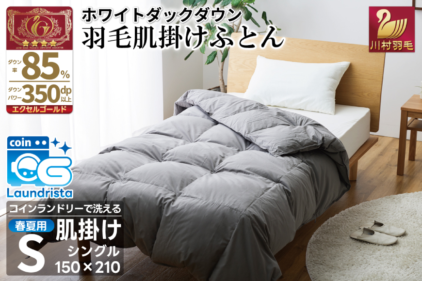【春夏用】洗える！ 羽毛 肌掛け布団 シングル ホワイトダックダウン 85%  (無地 グレー) 羽毛布団 布団 ふとん 羽毛 肌掛け 掛け布団 寝具 夏用 日本製 国産 抗菌防臭 無地 コインランドリー [川村羽毛 山梨県 韮崎市 20745100]