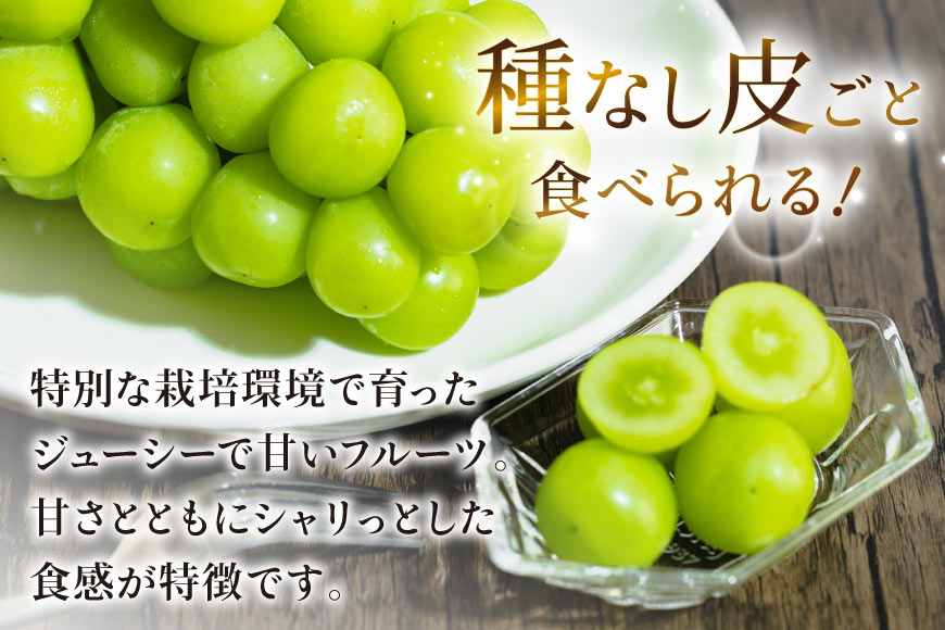 【2026年発送】シャインマスカット 訳あり家庭用 粒 にてお届け 約1kg 山梨県産 冷蔵発送 果物 フルーツ 山梨 ぶどう マスカット ブドウ 葡萄 規格外 期間限定 季節限定 冷蔵 山梨 [斎庵 山梨県 韮崎市 20745284]