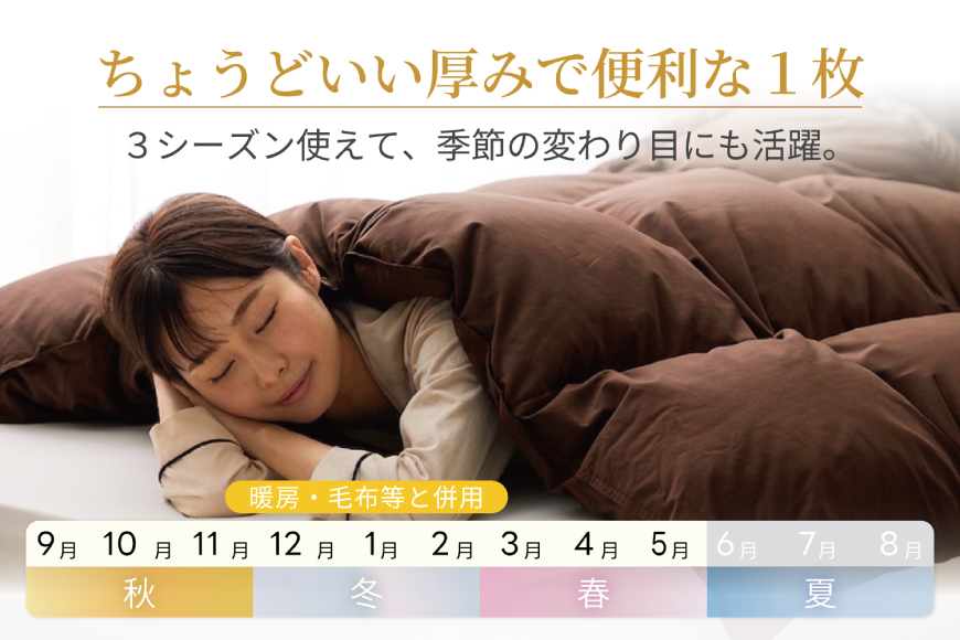 【春秋用】 洗える 羽毛布団 合掛け セミダブル ホワイトダックダウン85％ 1.0kg 無地 ブラウン 中厚 春用 秋用 [川村羽毛 山梨県 韮崎市 20745412] 合い掛け 布団 コインランドリー 掛け布団 ダウンかけ布団 ふとん 羽毛ふとん 合掛け布団 エクセルゴールドラベル