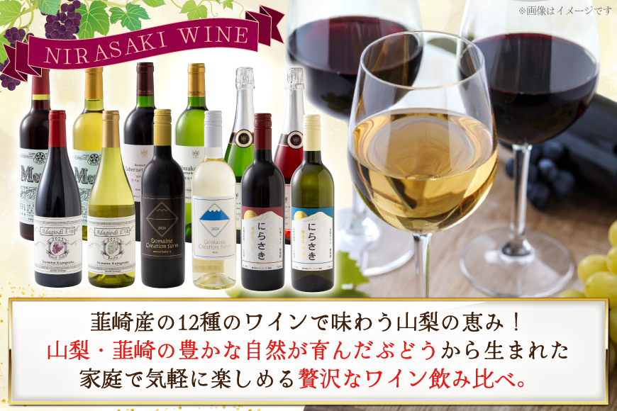 韮崎産 赤白スパークリング12本 お得な飲み比べセット 750ml ×11本 720ml ×1本 [株式会社まあめいく 山梨県 韮崎市 20745323] ワイン Wine わいん 赤ワイン 白ワイン 飲み比べ セット お酒 酒 山梨ワイン 甲州 スパークリング