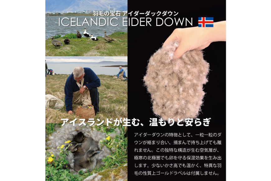 【冬用】アイダーダウン 羽毛布団 本掛け セミダブル アイダーダックダウン98％ アイスランド産 100x140番手サテン 日本製 綿100％ [川村羽毛 山梨県 韮崎市 20743050] 布団 ふとん 羽毛ふとん 寝具