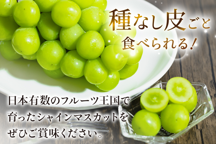 【2026年発送】先行受付 シャインマスカット 予約 約 1.2～1.3kg 2～ 3房 冷蔵発送 果物 フルーツ 山梨 ぶどう シャイン マスカット ブドウ 葡萄 種なし 厳選 旬 期間限定 季節限定 冷蔵 [斎庵 山梨県 韮崎市 20745280]