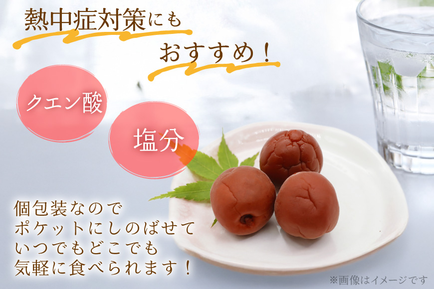 梅干し 梅恋しポット 30個入 [山梨農産食品 山梨県 韮崎市 20743520] 梅干 うめぼし 個包装 梅 漬物 つけもの おやつ おつまみ 熱中症予防