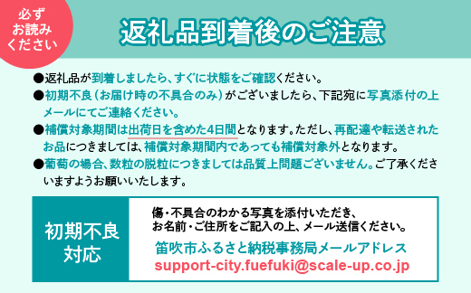 ＜25年発送先行予約＞笛吹市産　厳選シャインマスカット［3.0kg］（5～6房）フルーツ大国！山梨県笛吹市より産地直送 209-006 OUTTA REACH JAPAN