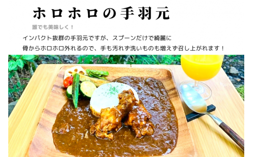 【キャンプカレー】大容量300gのレトルトカレー10食セット！ 166-007