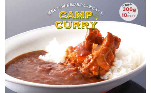 【キャンプカレー】大容量300gのレトルトカレー10食セット！ 166-007