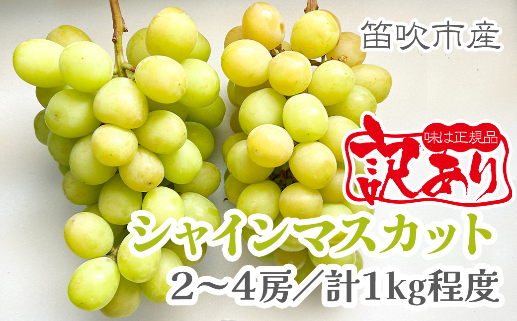【2026年発送★先行予約】【訳あり品】山梨県産シャインマスカット2房～4房(合計1kg程度)　229-009-26y