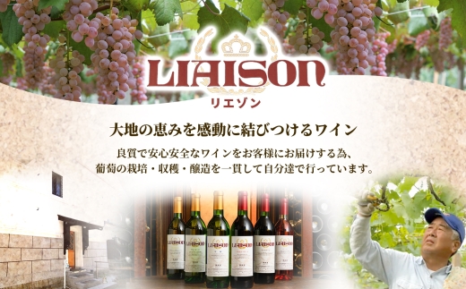 赤ワイン Liaison 2種 飲み比べ 720ml 各1本 計2本 セット 辛口 ミディアムワイン フルボトル ベリーA 甲斐ノワール メルロー 日川中央葡萄酒 山梨県 笛吹市 177-7-19