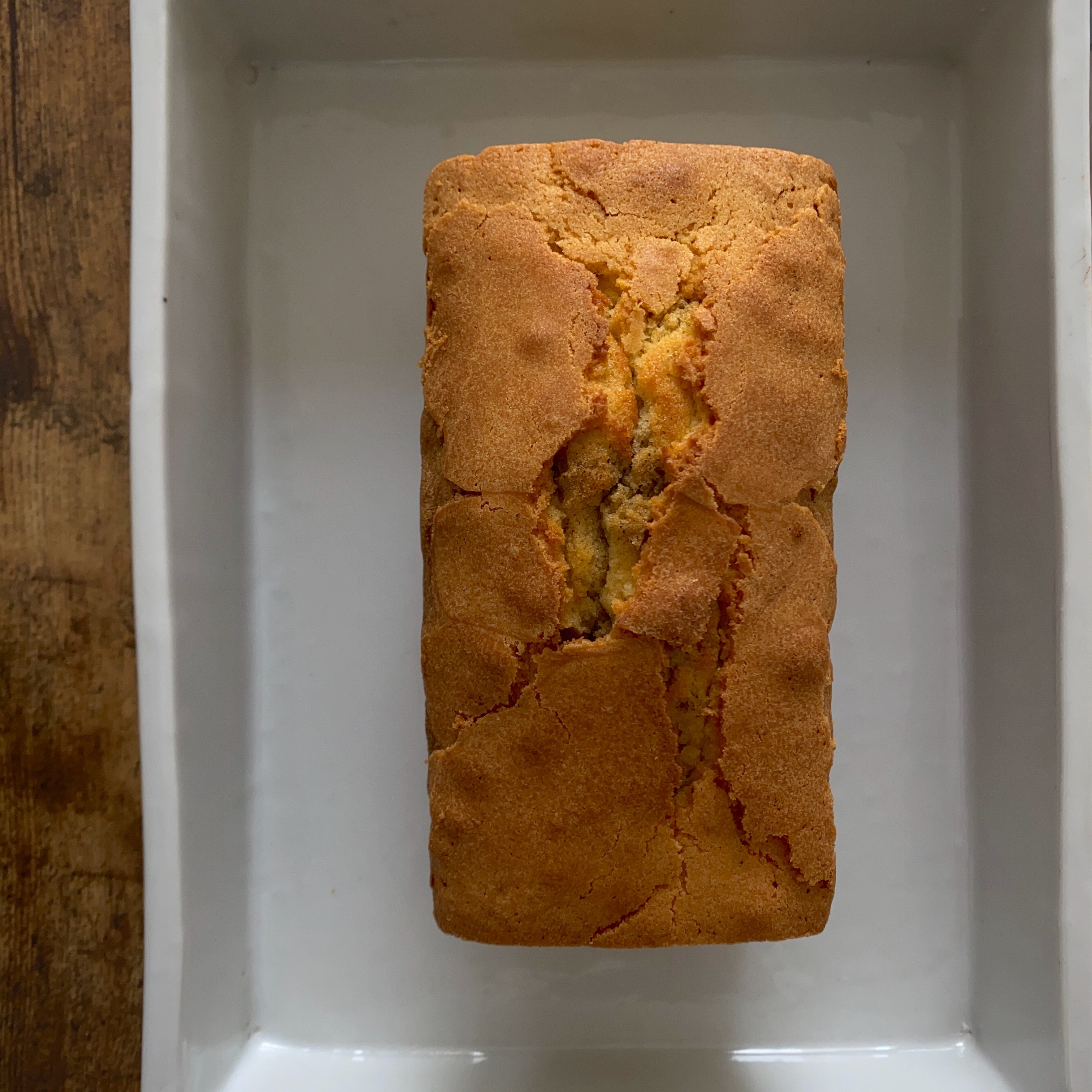 讌オ荳顔アウ邊峨ョ繧ォ繝医Ν繧ォ繝シ繝ォ2譛ャ蜈・繧翫繧ー繝ォ繝繝ウ繝輔Μ繝シ 197-004