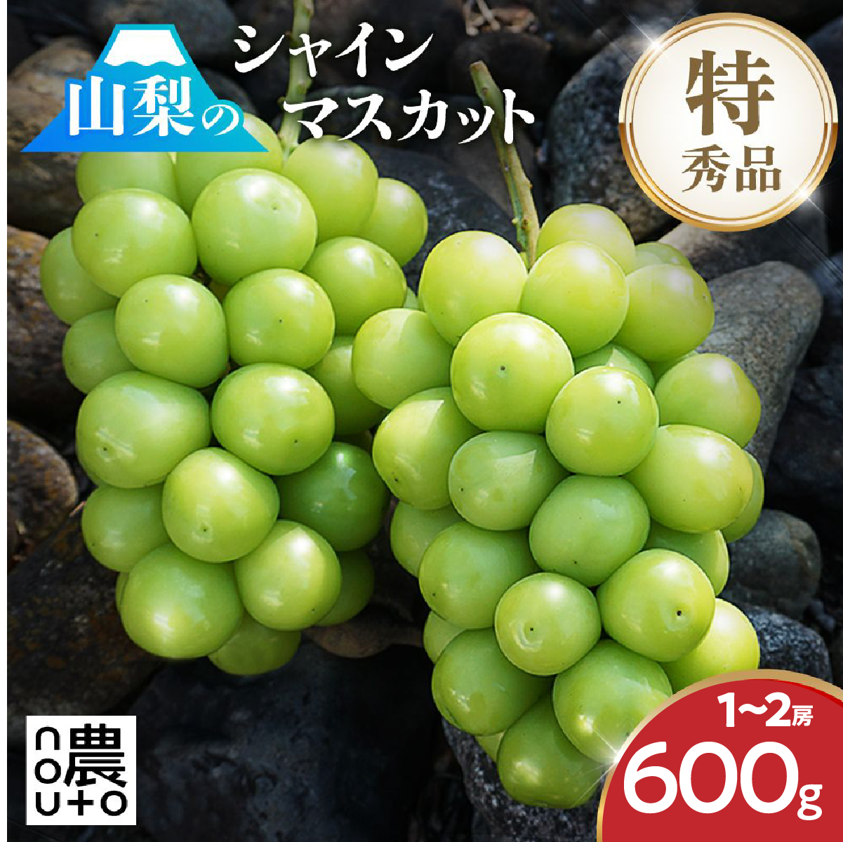 【2026年発送★先行予約】シャインマスカット 1~2房（600g以上）　154-008-600g-26y