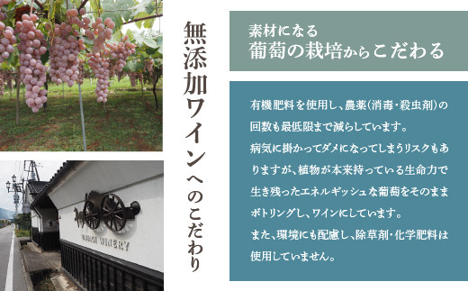 無添加ワイン 「甲斐國一宮」 白ワイン 辛口 甘口 2本セット 014-009