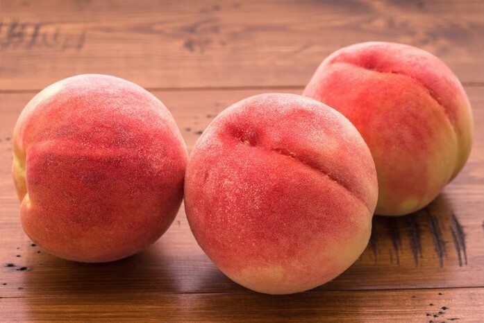 ç³åºŠ13床以äžããæé«å質ãéå®åãäžå®®ã®ãã¬ãã¢ã æ¡ã1.6ïœïœä»¥äžïŒ5çïŒ 168-004