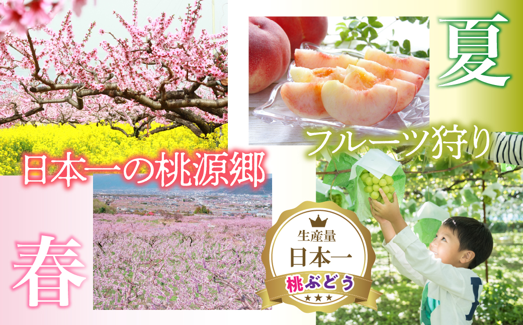 縺オ繧九&縺ィ邏咲ィ守浹蜥梧クゥ豕牙茜逕ィ蛻クシ懷茜逕ィ蛻ク15,000蜀蛻シ 038-014
