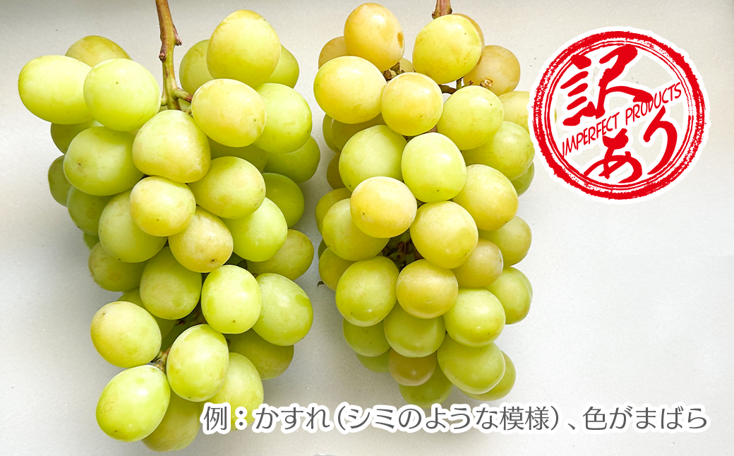 【2026年発送★先行予約】【訳あり品】山梨県産シャインマスカット2房～4房(合計1kg程度)　229-009-26y