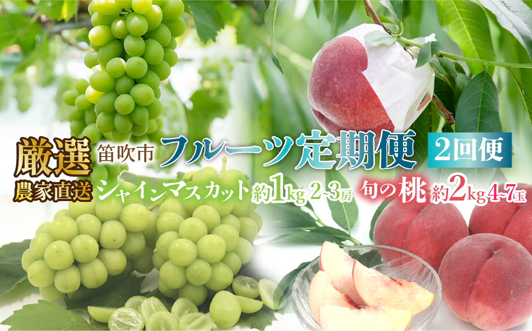 ＜25年発送先行予約＞笛吹市産　厳選!農家直送「フルーツ定期便2回便」桃 約2キロ(4～7玉)6月～8月 シャインマスカット約1.0キロ(2～3房) 9月～10月 205-006