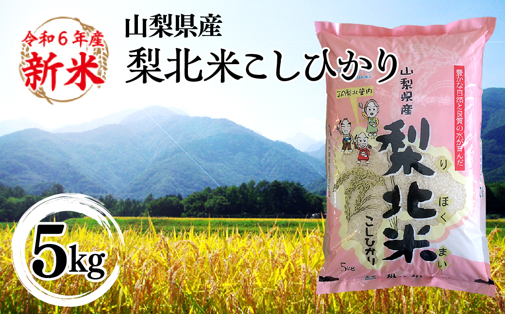 【山梨のブランド米】 山梨県産 梨北米こしひかり　5kg 115-008