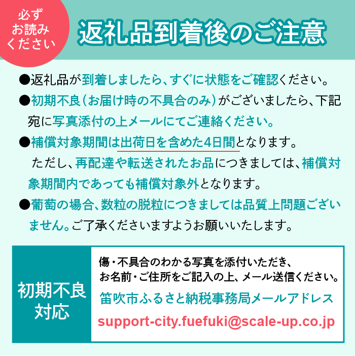 ＜2025年発送＞山梨県 笛吹市 巨峰 2房 約1kg 177-6-002 ｜巨峰 葡萄 ぶどう 発送 山梨 笛吹市 果物 フルーツ 新鮮 旬 発送 ブドウ 国産 山梨 笛吹市 葡萄 高級 ぶどう 山梨県笛吹市 果物 黒葡萄 高級品種 ブドウ 先行 贈答用 贈答 ギフト｜