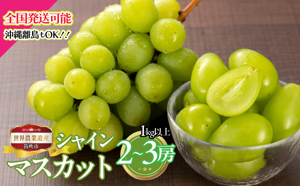 ＜25年発送先行予約＞山梨県笛吹市産　シャインマスカット2房～3房　１kg以上 223-007