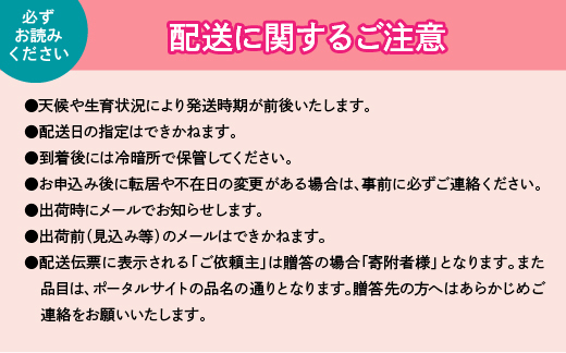 【定期便】笛吹市人気フルーツ定期便全３回 168-100