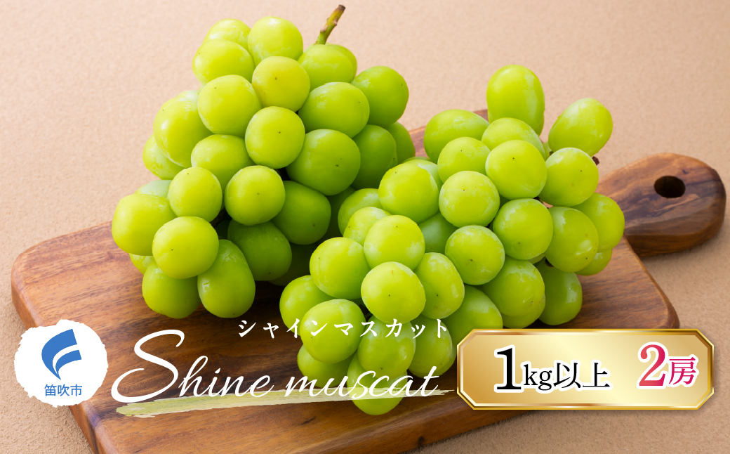 【2026年発送★先行予約】山梨県産シャインマスカット　1kg以上　2房　247-001