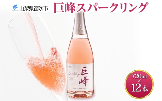 《無地熨斗 対応可》巨峰スパークリング 720ml×12本 177-4-073