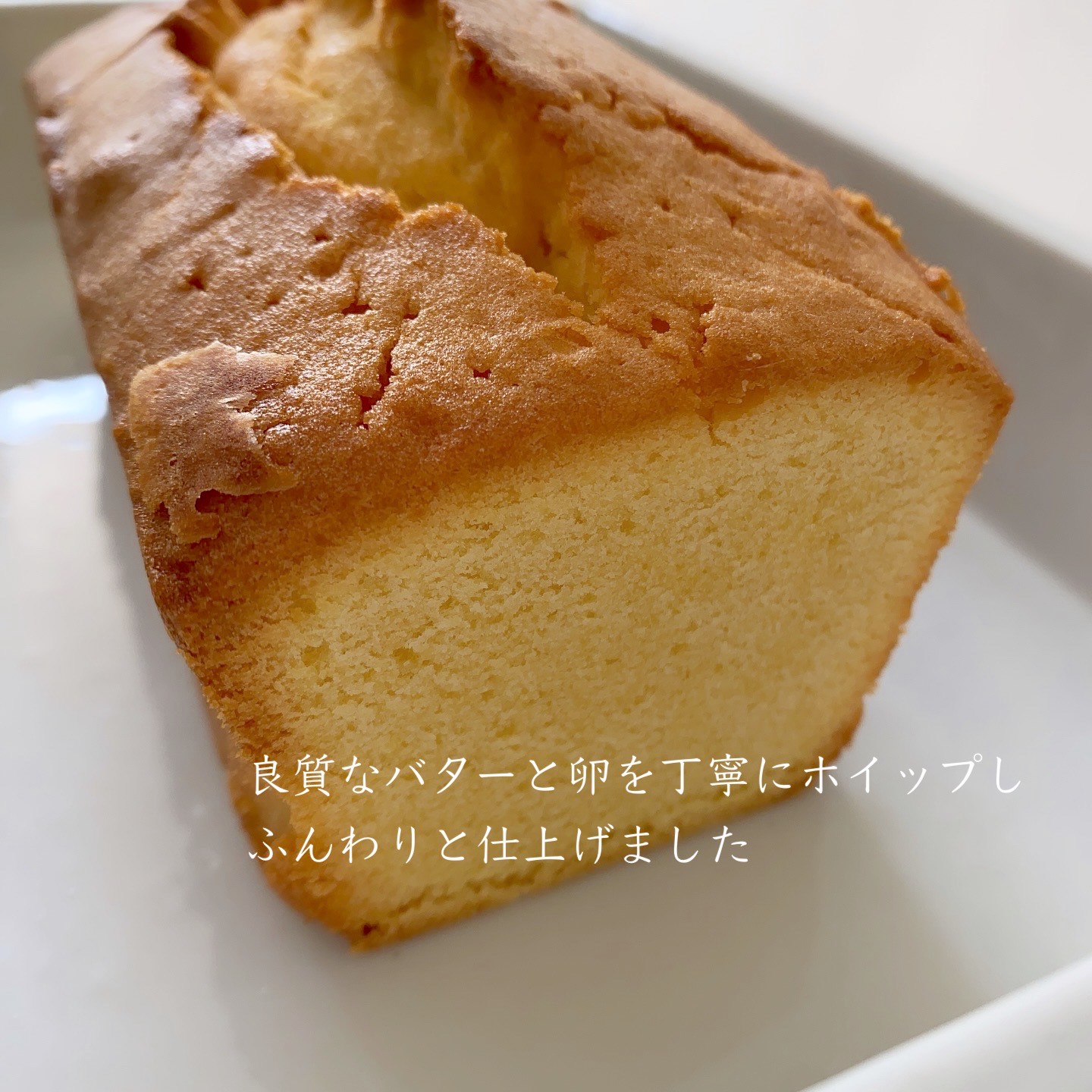 讌オ荳顔アウ邊峨ョ繧ォ繝医Ν繧ォ繝シ繝ォ2譛ャ蜈・繧翫繧ー繝ォ繝繝ウ繝輔Μ繝シ 197-004