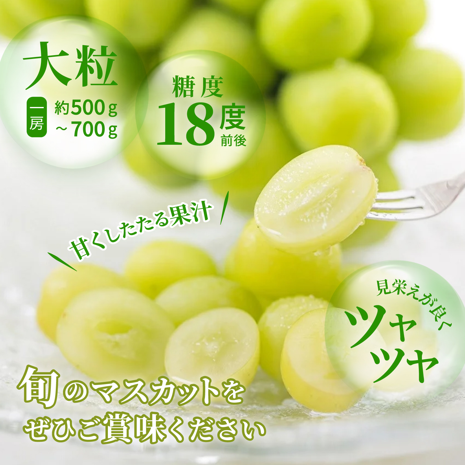 【2026年発送★先行予約】さわやかに滴るシャインマスカット 約1.2kg以上 065-023-26y