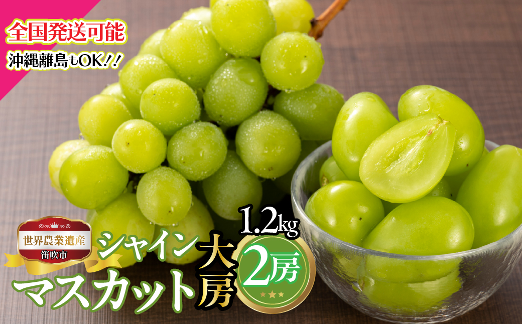 【2026年発送★先行予約】山梨県笛吹市産　シャインマスカット大房2房 1.2kg 223-027-26y