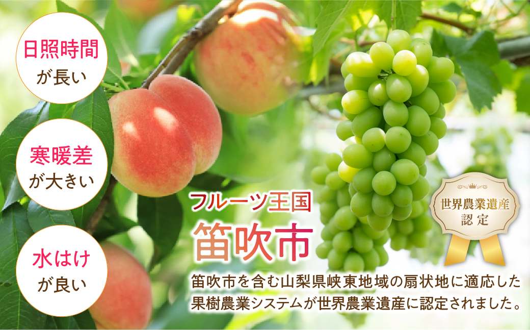 ＜25年発送先行予約＞ 産地厳選日本一笛吹市の桃3kg以上（9玉〜12玉） 106-009