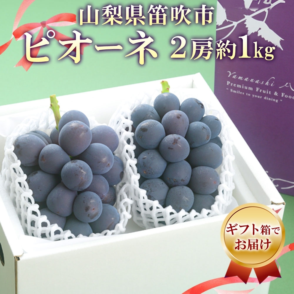 ＜2025年発送＞山梨県 笛吹市 ピオーネ2房 約1kg 177-6-001 ｜ピオーネ 葡萄 ぶどう 発送 山梨 笛吹市 果物 フルーツ 新鮮 旬 発送 ブドウ 国産 山梨 笛吹市 葡萄 高級 ぶどう 山梨県笛吹市 果物 葡萄 2025年発送 高級品種 ブドウ 先行 贈答用 贈答 ギフト｜