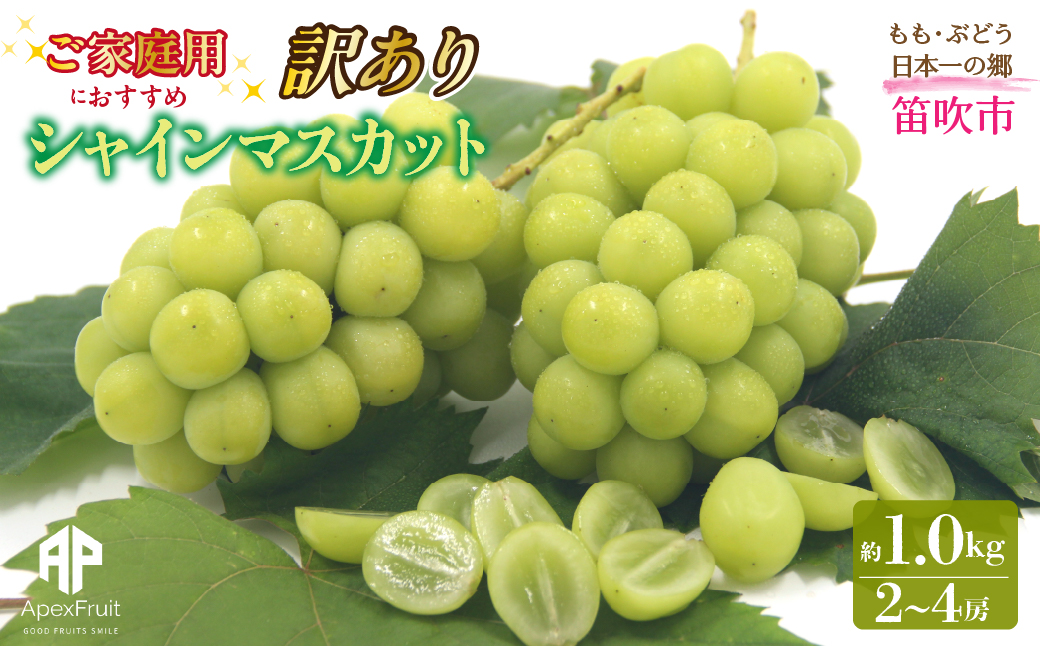 【2026年発送先行予約】笛吹市産　【訳あり】シャインマスカット　約1.0kg（２～4房）205-021-26y