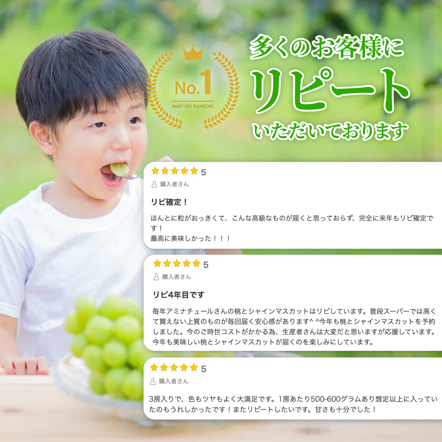 【2026年発送★先行予約】さわやかに滴るシャインマスカット 約1.2kg以上 065-023-26y