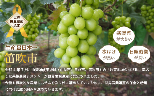 ＜25年発送先行予約＞厳選！ 山梨県笛吹市産 シャインマスカット含む３色セット 約1.8kg 156-007
