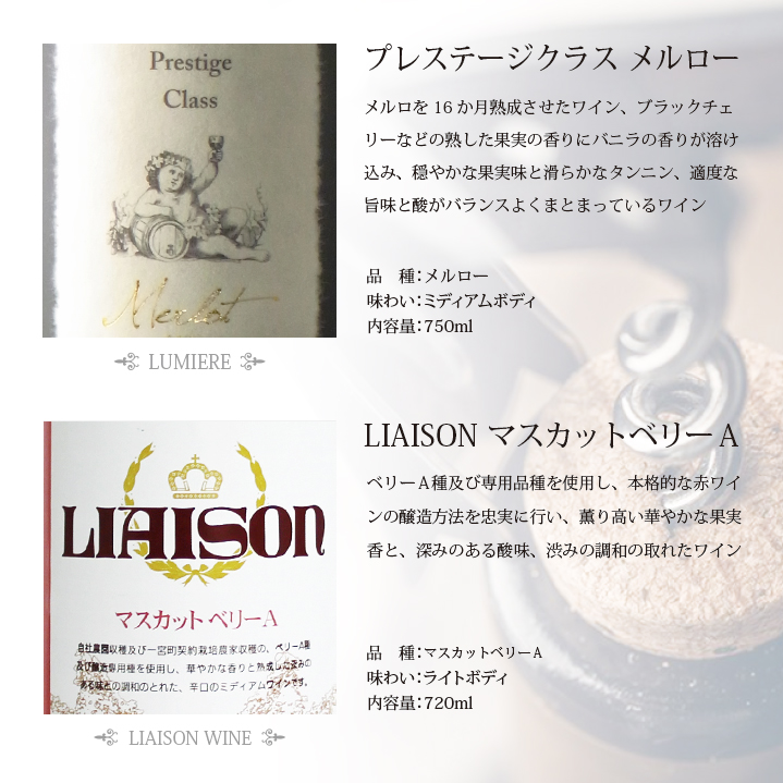 山梨の赤ワイン6本セット 127-026