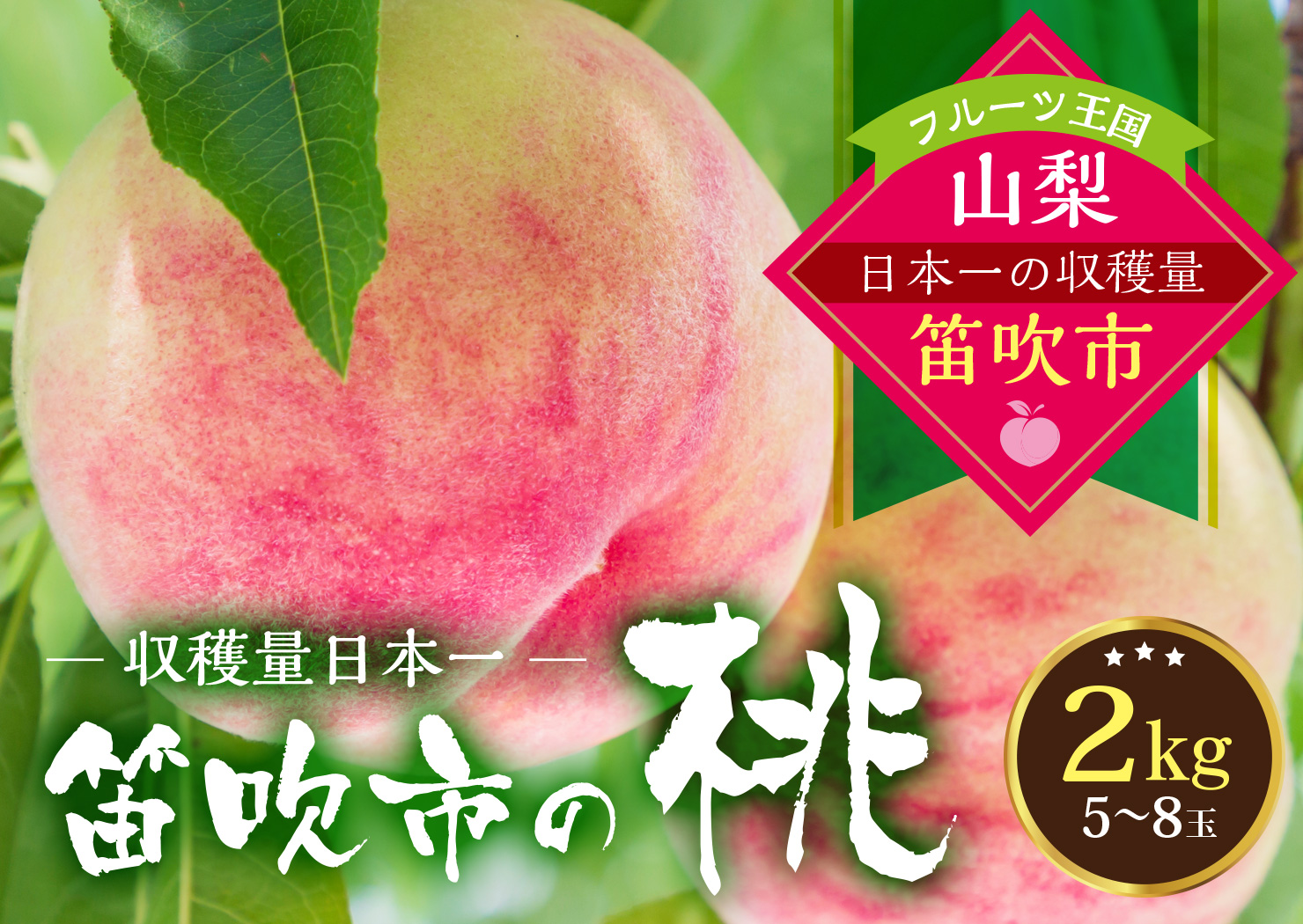 【2026年発送★先行予約】桃の一大産地！笛吹市産旬の桃2kg 167-001-26y
