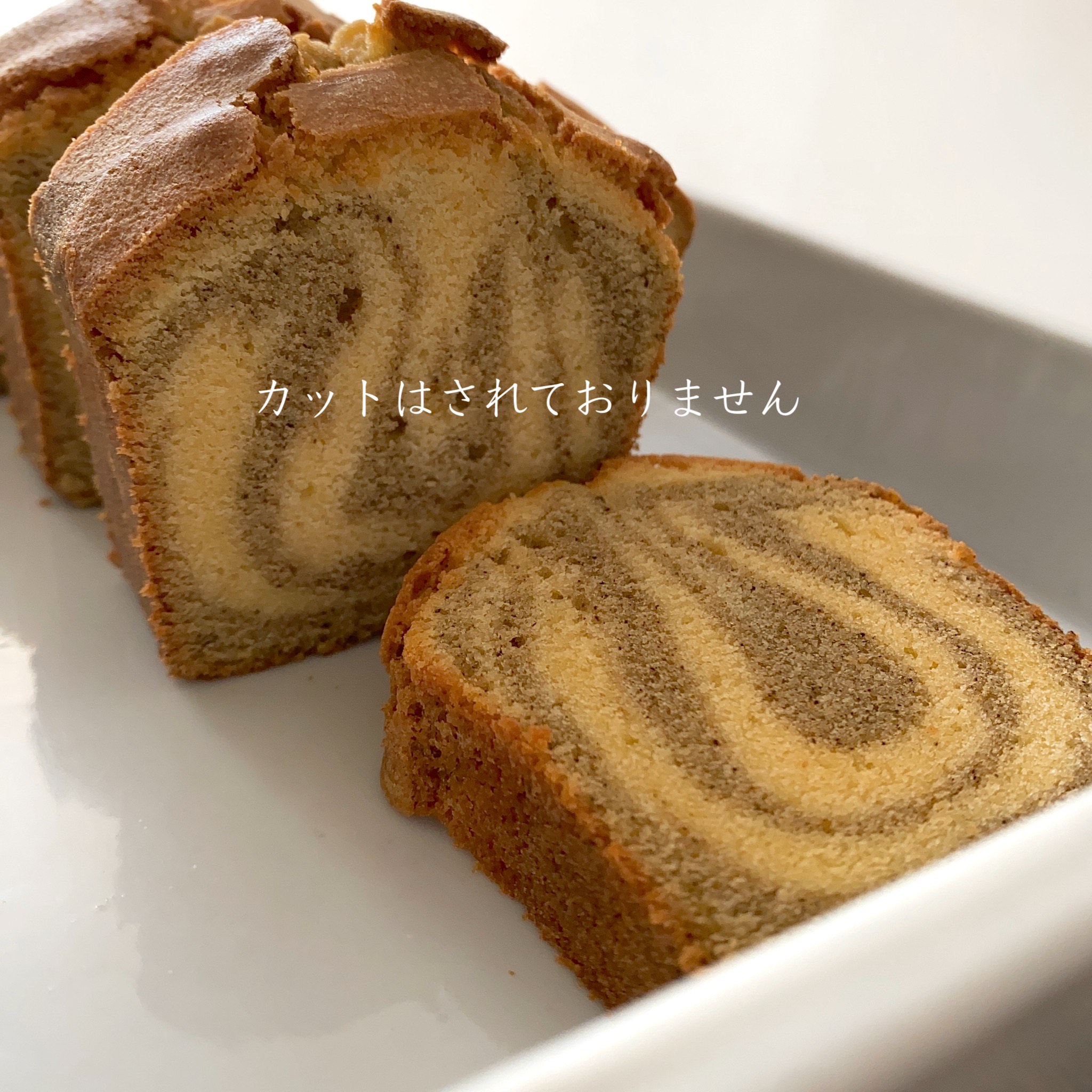 讌オ荳顔アウ邊峨ョ繧ォ繝医Ν繧ォ繝シ繝ォ2譛ャ蜈・繧翫繧ー繝ォ繝繝ウ繝輔Μ繝シ 197-004