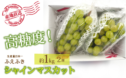 ＜25年発送先行予約＞厳選！大人気セット！笛吹市全２回定期便〜もも2kg シャインマスカット1kg〜 156-100