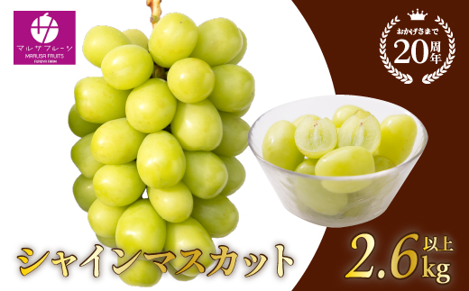 ＜25年発送先行予約＞シャインマスカット2.6?以上　山梨県 笛吹市 一宮産 朝採り 産地直送 088-026