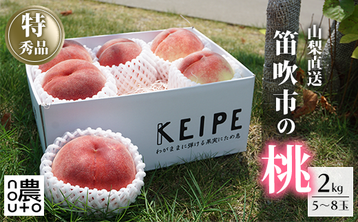 ＜25年発送先行予約＞日本一の生産量 山梨県産 桃 2kg以上 5~8玉 154-030