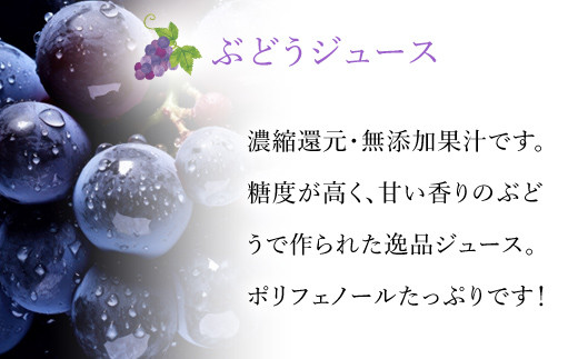 砂糖不使用！無着色！！ もものじゅーす と ぶどうじゅーす 3本ずつ6本セット 088-024　★10月発送　