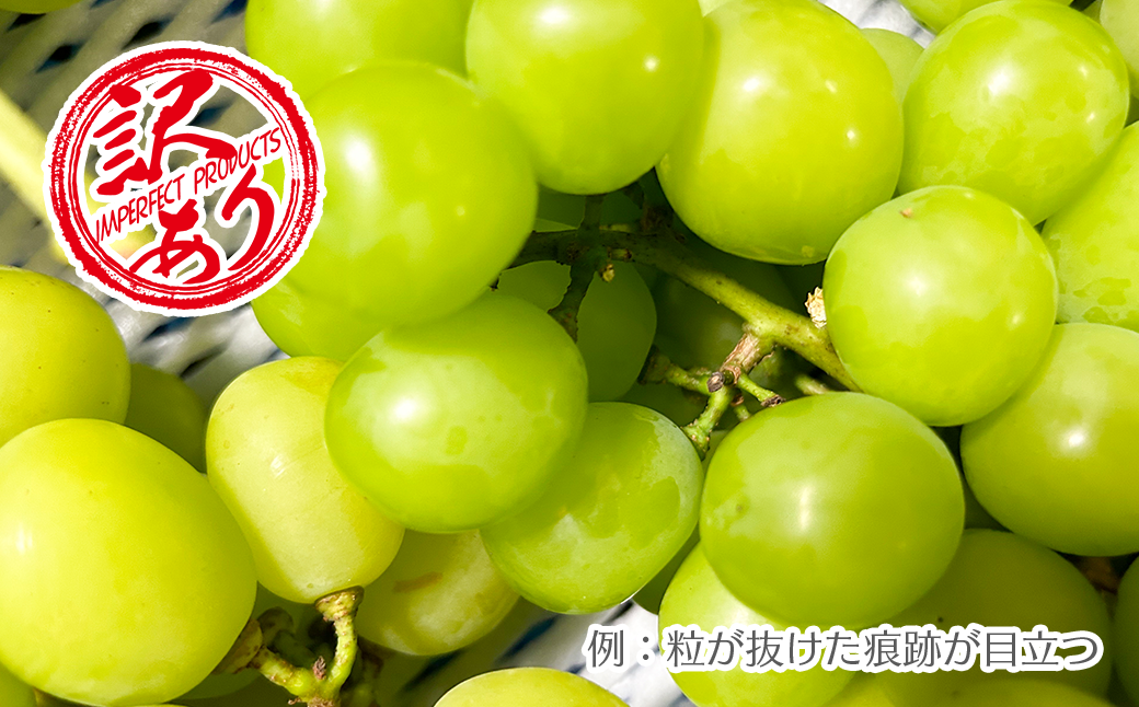 【2026年発送★先行予約】【訳あり品】山梨県産シャインマスカット2房～4房(合計1kg程度)　229-009-26y