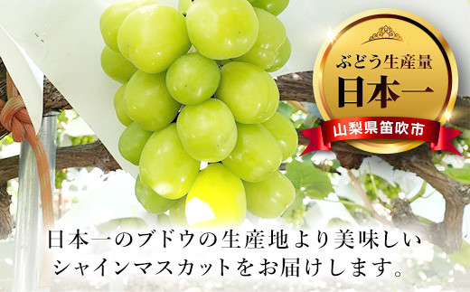 ＜25年発送先行予約＞【ちょっと食べたい定期便】桃 約1kg(3～4玉)×シャインマスカット500g以上 126-024