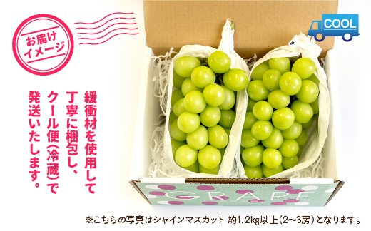 縲2026蟷エ逋コ騾≫蜈郁。御コ育エ縲代宣谺。逋コ騾√ 逕」蝨ー蜴ウ驕ク繧キ繝」繧、繝ウ繝槭せ繧ォ繝繝1.2kgス1.3kgシ2謌ソス3謌ソシ106-003-sku03-26y