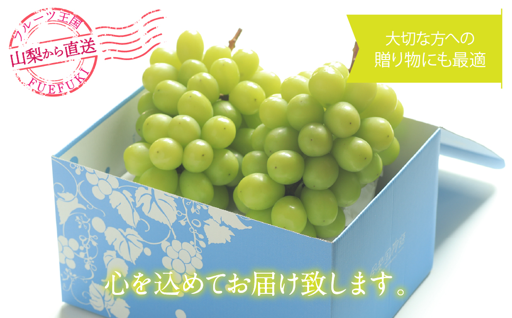 ＜25年発送先行予約＞シャインマスカット 2〜2.2kg 222-008-2