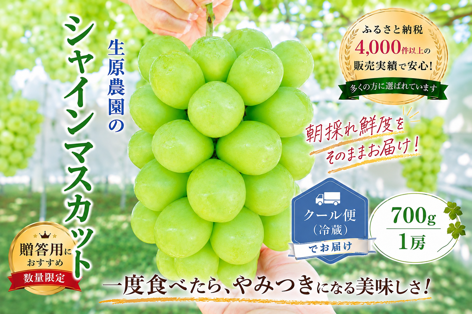 縲2026蟷エ逋コ騾≫蜈郁。御コ育エ縲代ヵ繝ォ繝シ繝邇句嵜隨帛聖蟶ゅョ縲舌励Ξ繝溘い繝螟ァ謌ソ縲代す繝」繧、繝ウ繝槭せ繧ォ繝繝1謌ソ700g莉・荳 137-002-26y